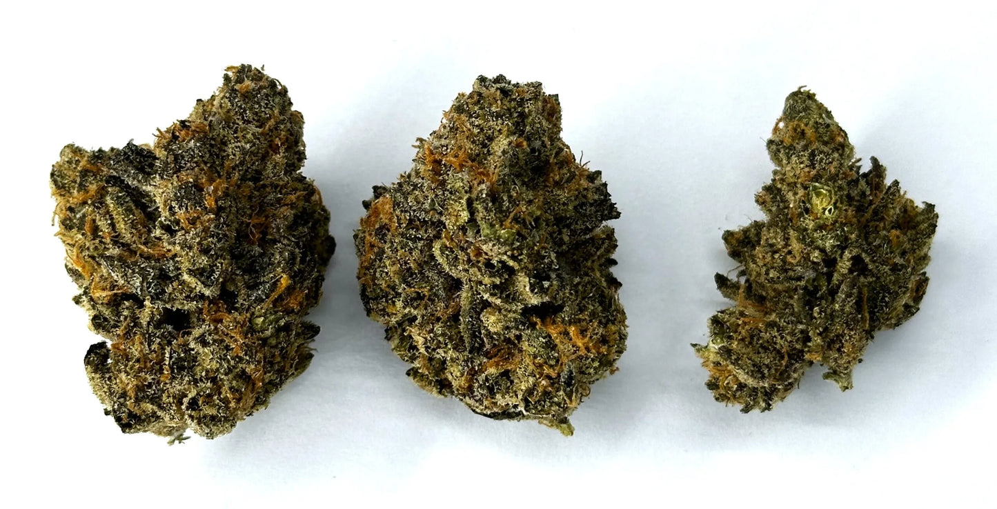 Indoor RS-11 – Indica Dominant Hybrid