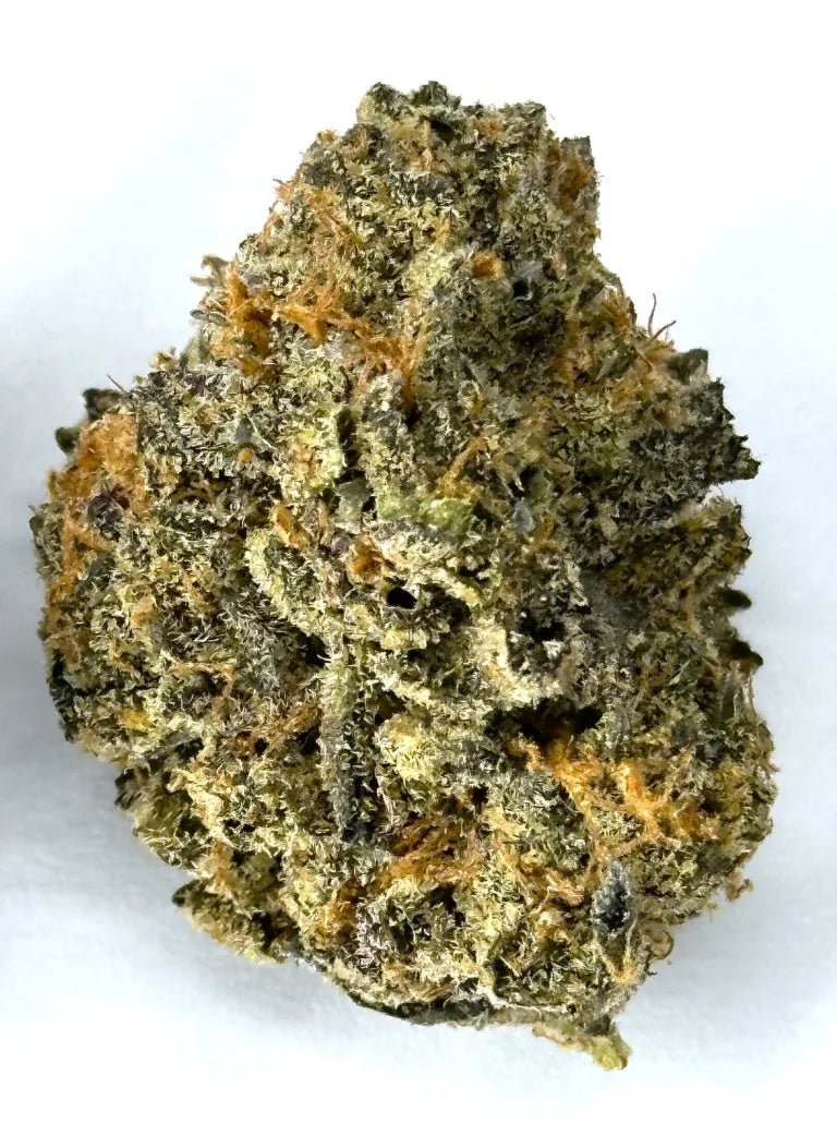 Indoor RS-11 – Indica Dominant Hybrid