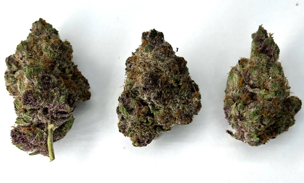 Indoor Tropicana Cherry – Sativa-Dominant Hybrid